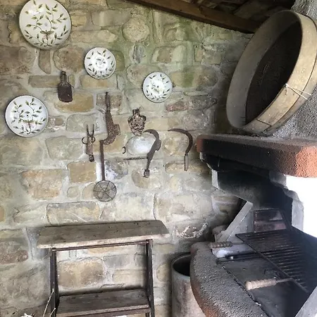 Chalet La Casetta Nel Bosco Feel The Nature