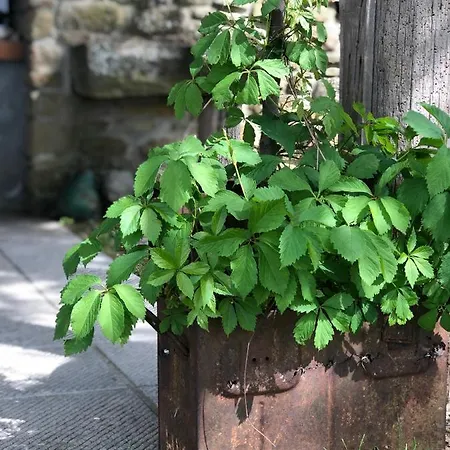 La Casetta Nel Bosco Feel The Nature * Villore