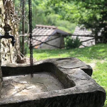 La Casetta Nel Bosco Feel The Nature Alpehytte